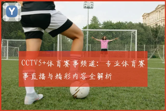 CCTV5+体育赛事频道:专业体育赛事直播与精彩内容全解析