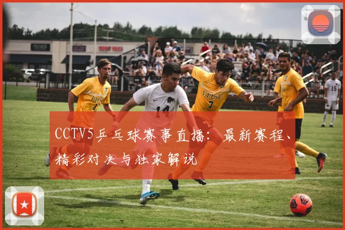 CCTV5乒乓球赛事直播:最新赛程、精彩对决与独家解说
